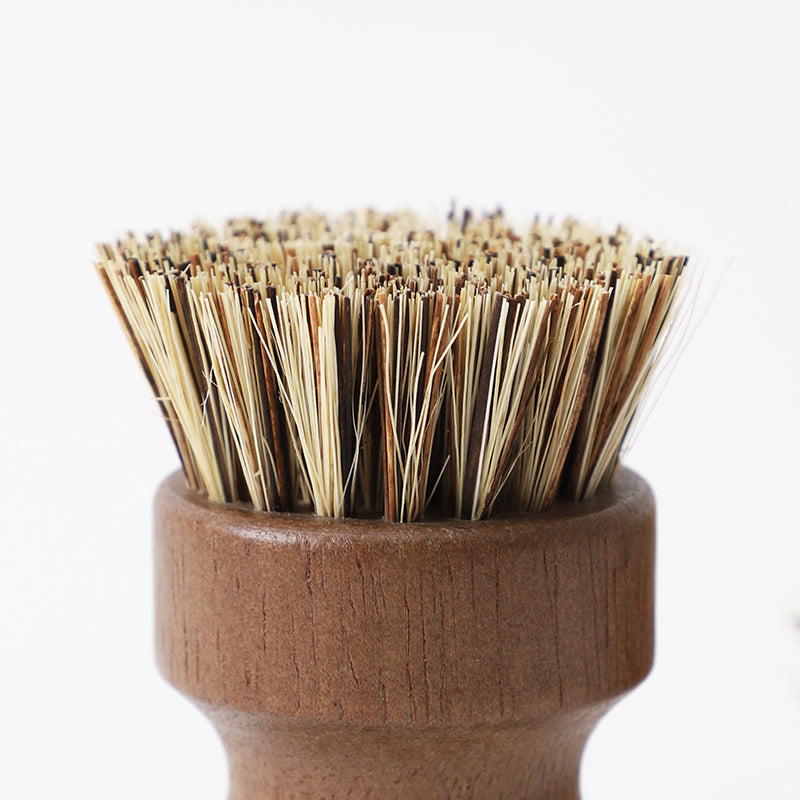 Coconut fibre bristle Dish brush
