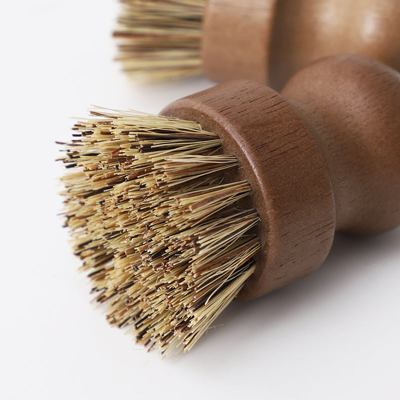 Coconut fibre bristle Dish brush
